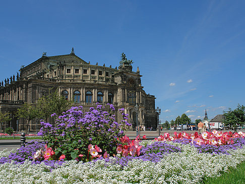 Foto Semperoper mit Blumen